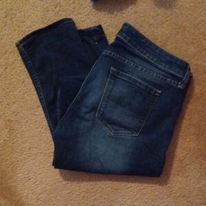Arizona Jean Company Blue Straight Jeans Classic Denim